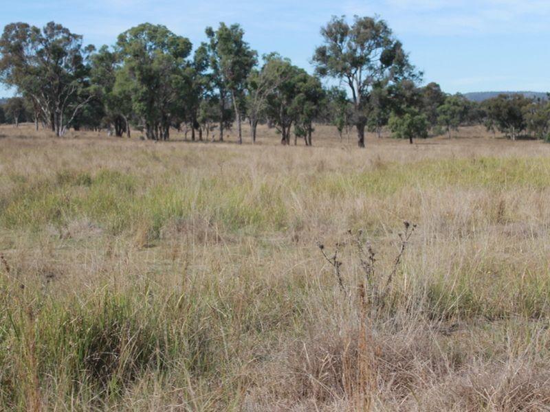 3739 Glen Innes Rd, Emmaville NSW 2371