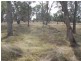 3739 Glen Innes Rd, Emmaville NSW 2371