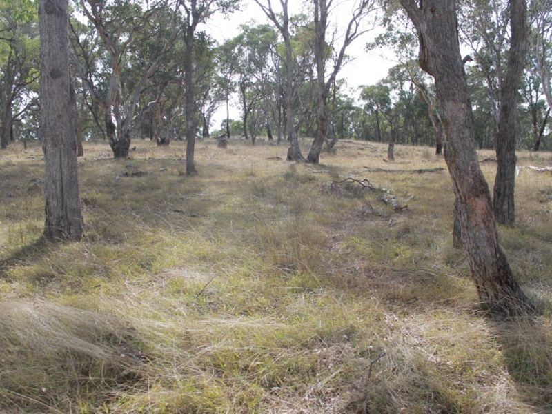 3739 Glen Innes Rd, Emmaville NSW 2371