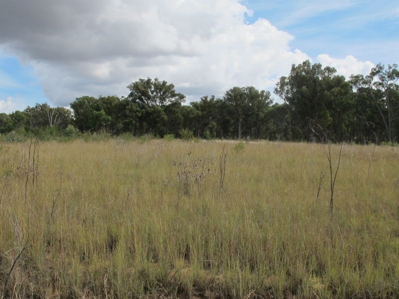 235/958698 Strathbogie Road, Emmaville NSW 2371