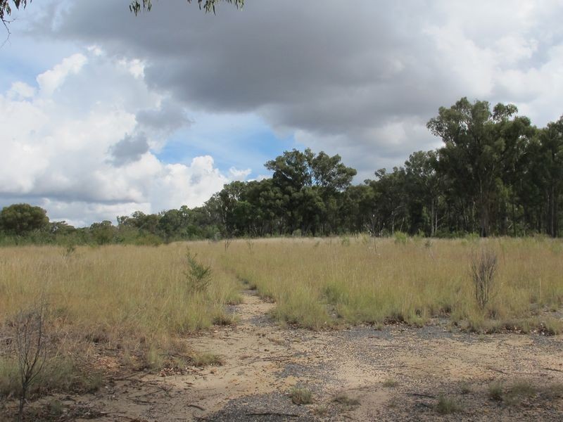 235/958698 Strathbogie Road, Emmaville NSW 2371