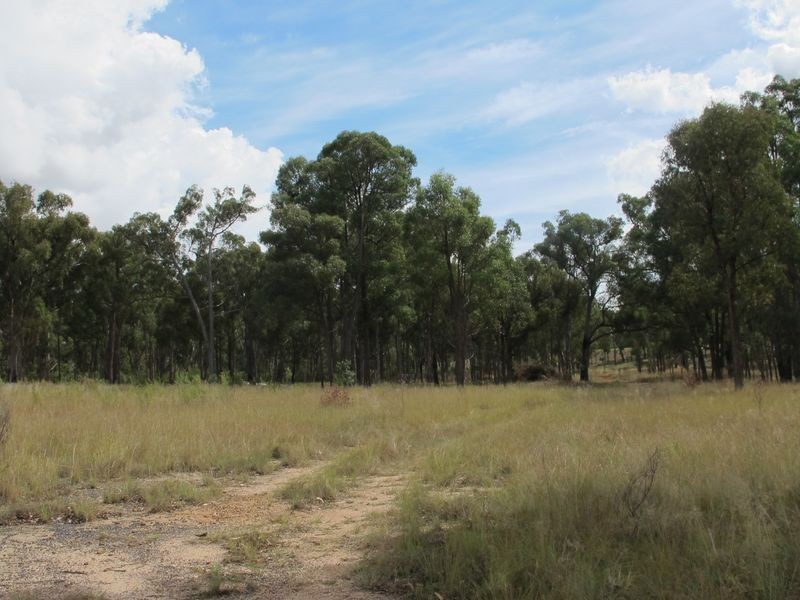 235/958698 Strathbogie Road, Emmaville NSW 2371