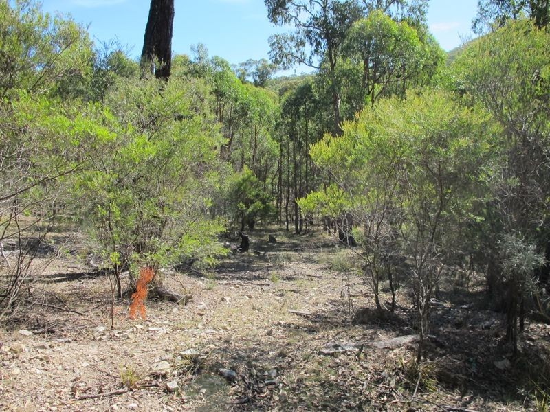 6/2285 Emmaville Road, Glen Innes NSW 2370