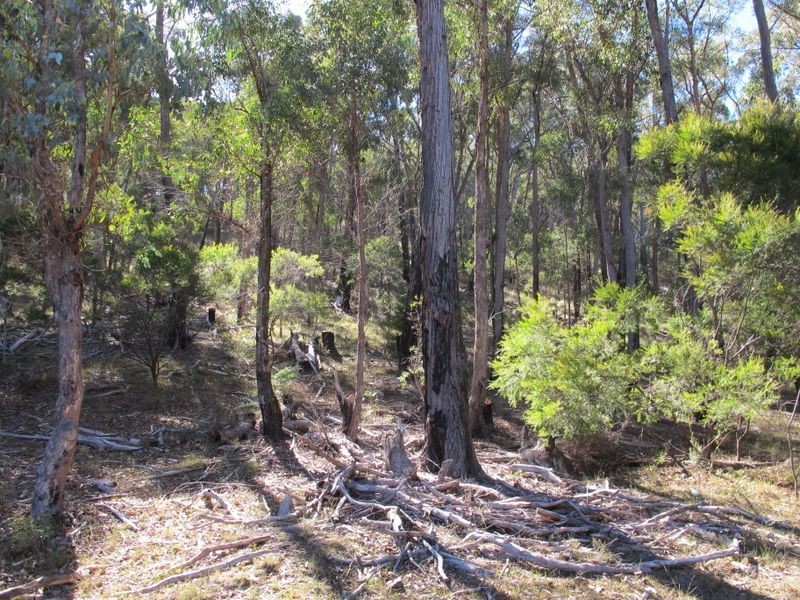 6/2285 Emmaville Road, Glen Innes NSW 2370