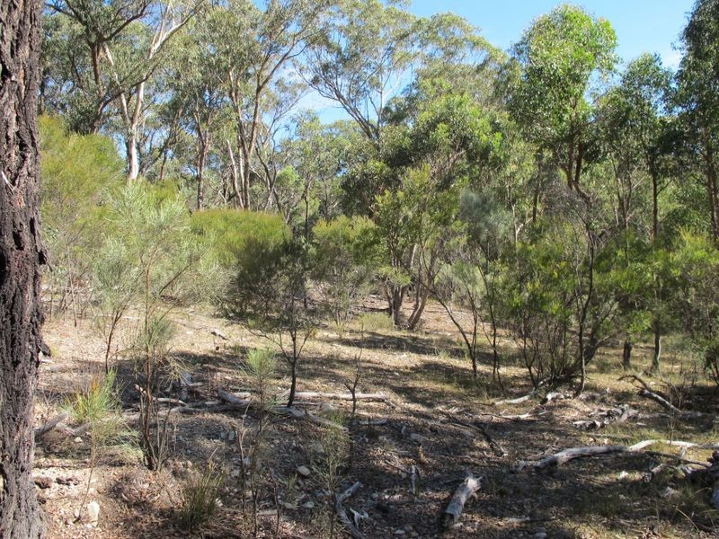 6/2285 Emmaville Road, Glen Innes NSW 2370