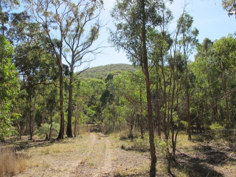 6/2285 Emmaville Road, Glen Innes NSW 2370