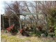 36 Victoria Street, Red Range NSW 2370