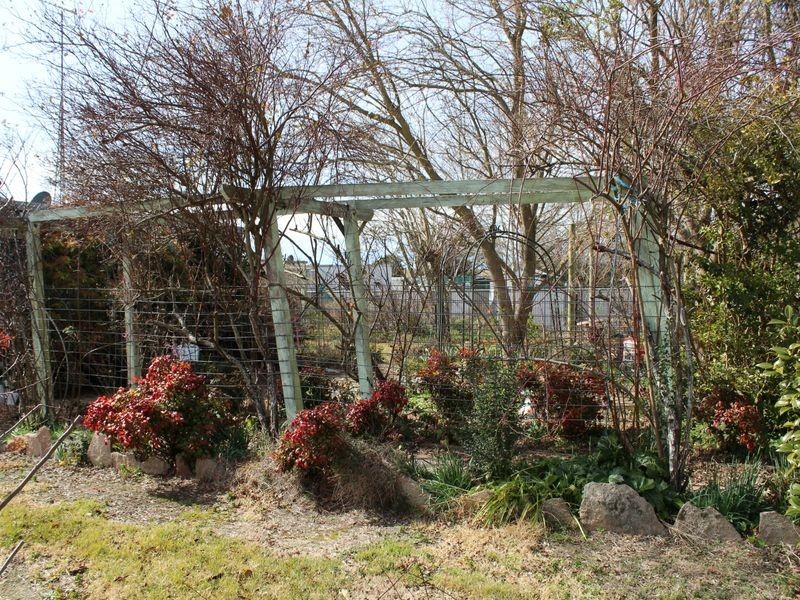 36 Victoria Street, Red Range NSW 2370