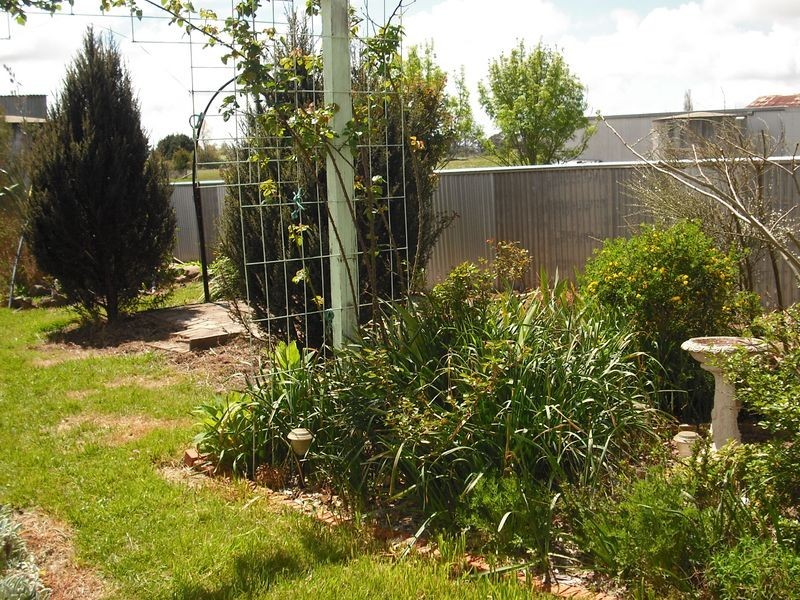 36 Victoria Street, Red Range NSW 2370