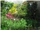 36 Victoria Street, Red Range NSW 2370