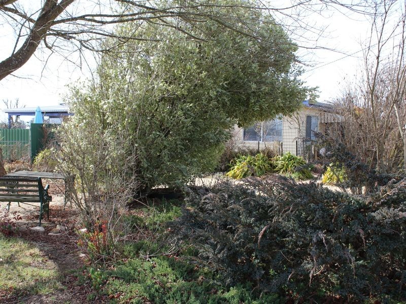 36 Victoria Street, Red Range NSW 2370