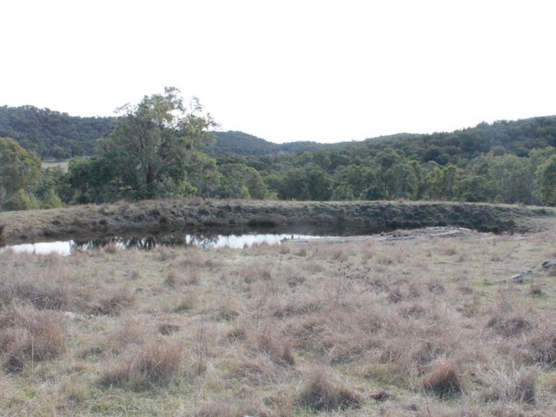 Lots 351 Torrington Road Stannum, Glen Innes NSW 2370