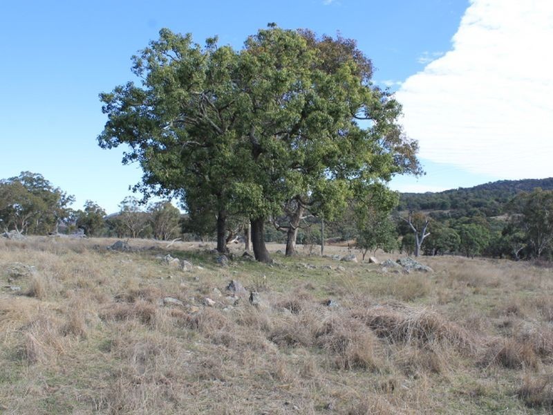 Lots 351 Torrington Road Stannum, Glen Innes NSW 2370