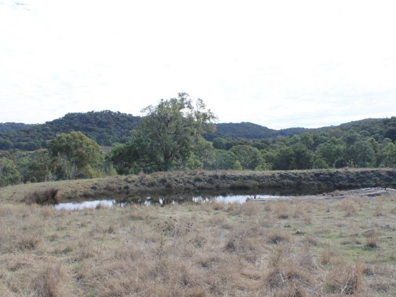 Lots 351 Torrington Road Stannum, Glen Innes NSW 2370