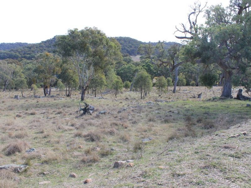 Lots 351 Torrington Road Stannum, Glen Innes NSW 2370