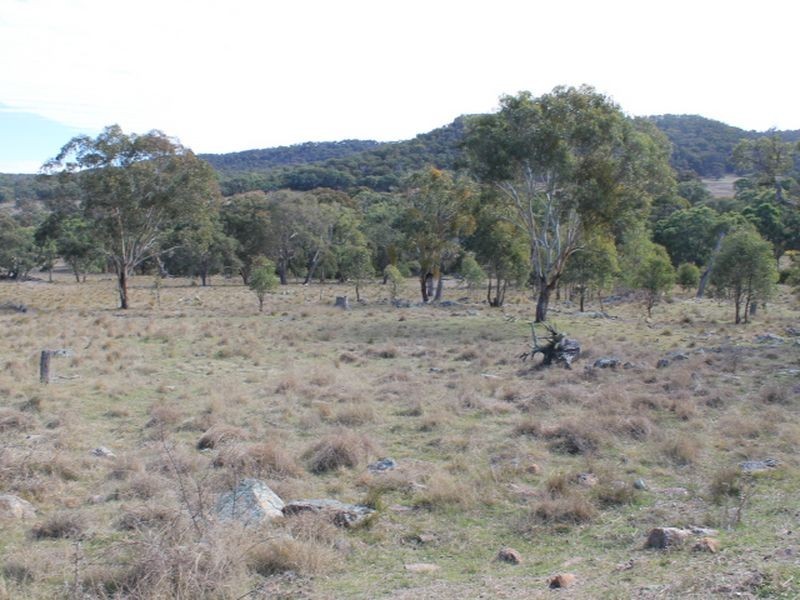 Lots 351 Torrington Road Stannum, Glen Innes NSW 2370