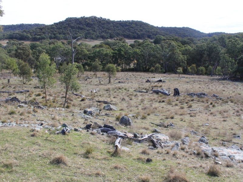 Lots 351 Torrington Road Stannum, Glen Innes NSW 2370