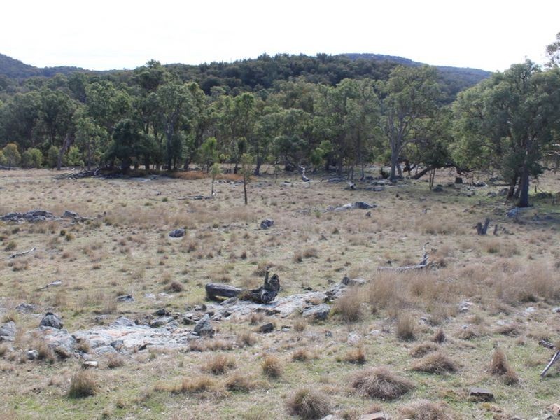 Lots 351 Torrington Road Stannum, Glen Innes NSW 2370