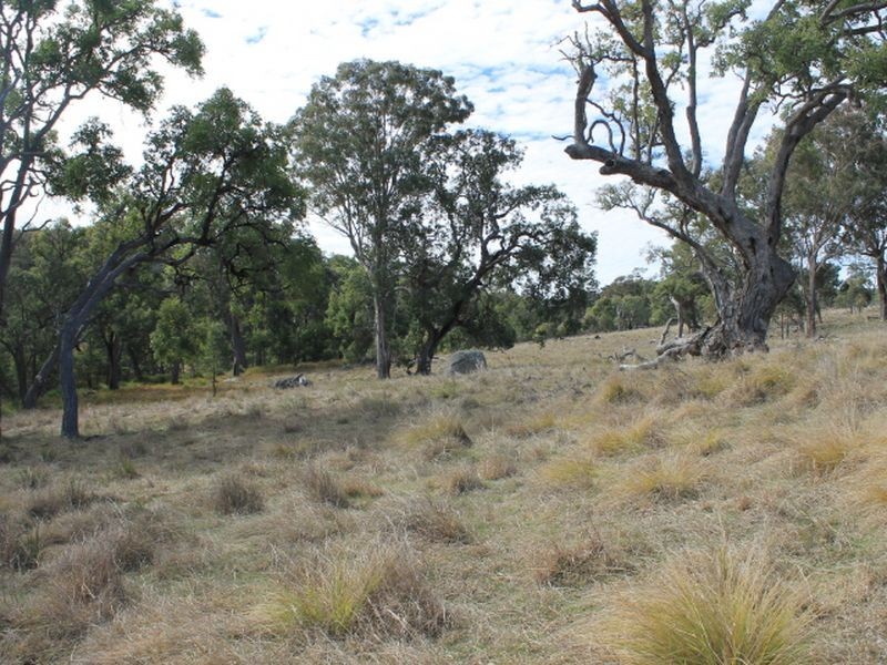 Lots 351 Torrington Road Stannum, Glen Innes NSW 2370