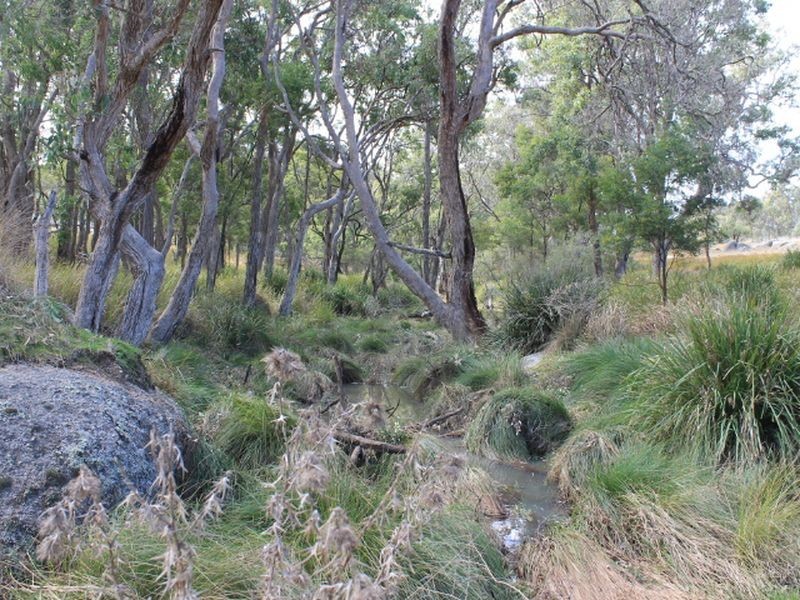 Lots 351 Torrington Road Stannum, Glen Innes NSW 2370