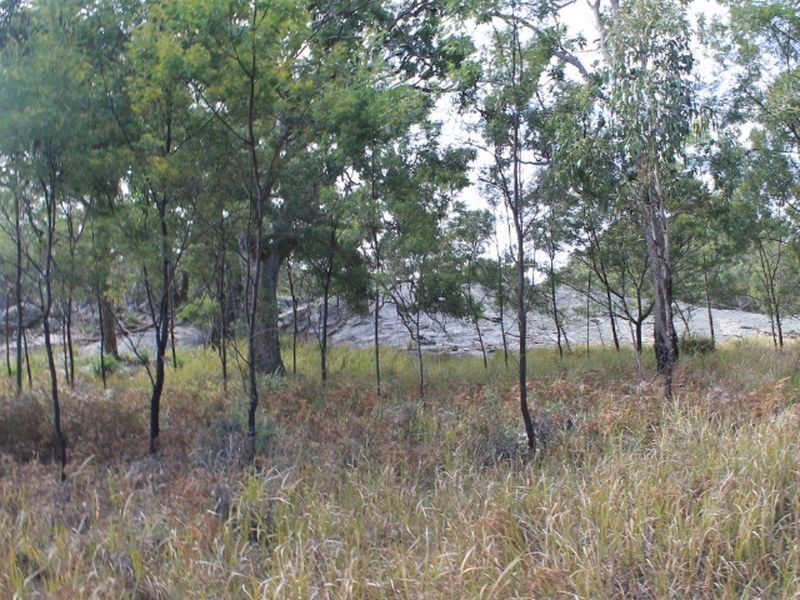 Lots 351 Torrington Road Stannum, Glen Innes NSW 2370