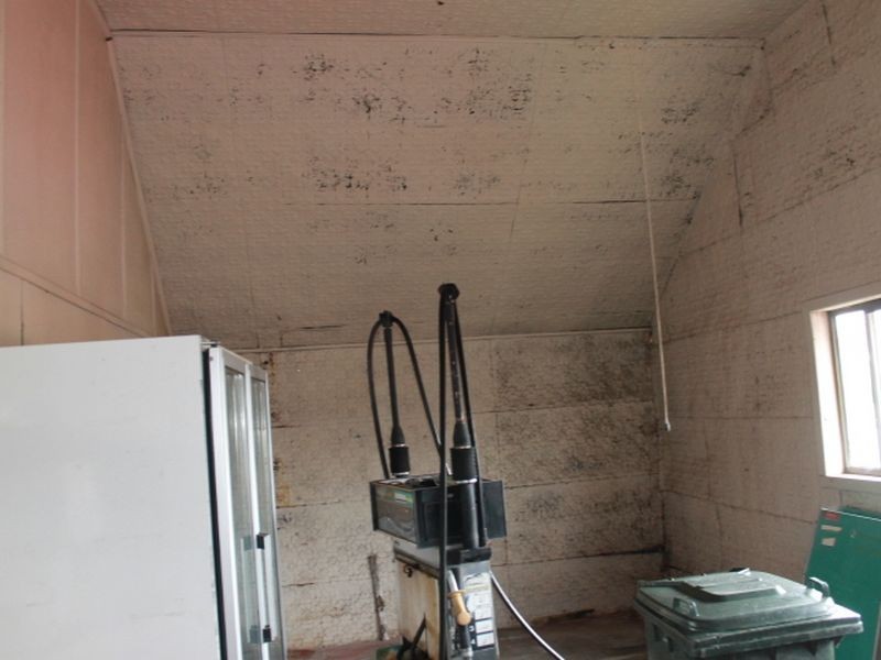 31 O’Donnell Street, Emmaville NSW 2371