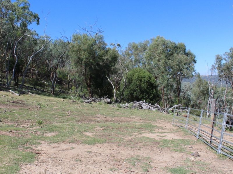 1560 Gulf Road, Emmaville NSW 2371