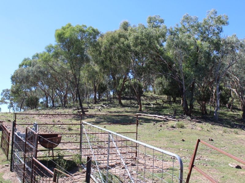 1560 Gulf Road, Emmaville NSW 2371