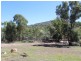 1560 Gulf Road, Emmaville NSW 2371