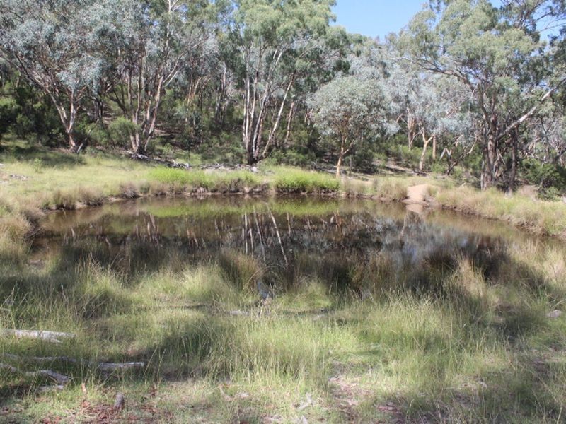 1560 Gulf Road, Emmaville NSW 2371