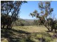 1560 Gulf Road, Emmaville NSW 2371