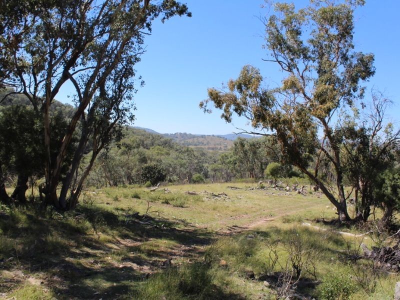 1560 Gulf Road, Emmaville NSW 2371