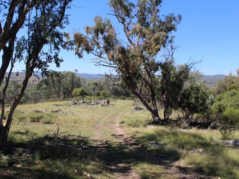 1560 Gulf Road, Emmaville NSW 2371