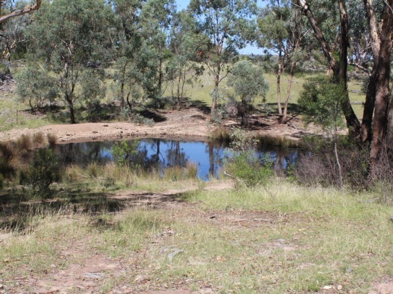 1560 Gulf Road, Emmaville NSW 2371