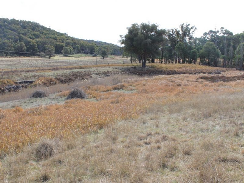 Lot 358 Torrington Rd, Stannum NSW 2371