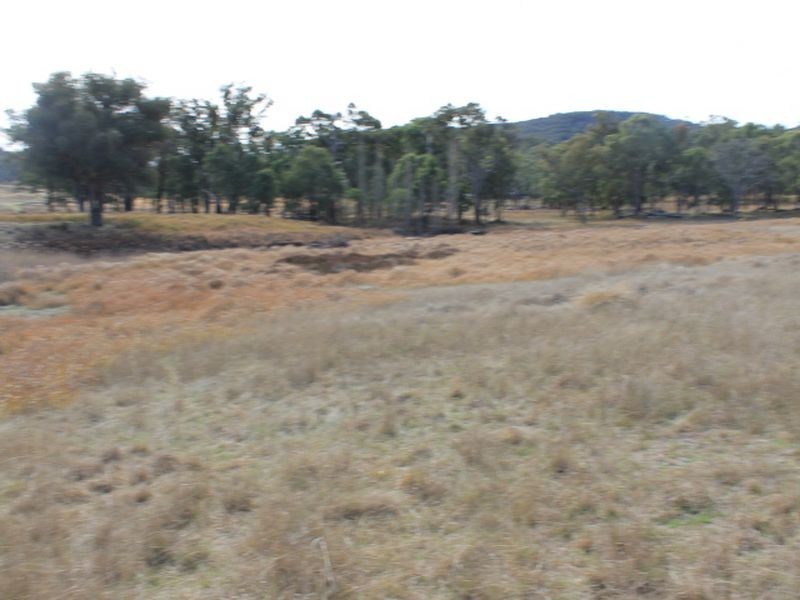 Lot 358 Torrington Rd, Stannum NSW 2371