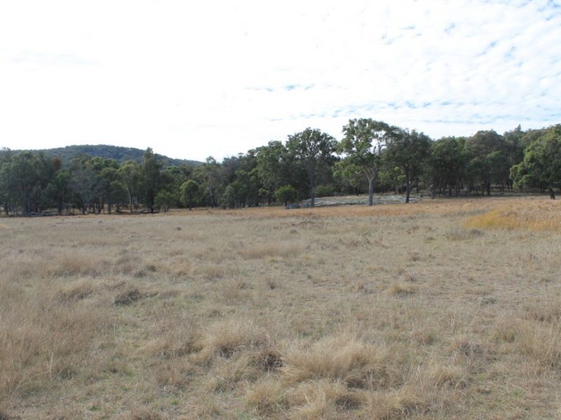 Lot 358 Torrington Rd, Stannum NSW 2371