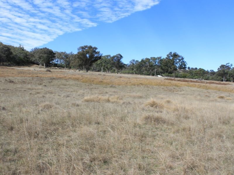 Lot 358 Torrington Rd, Stannum NSW 2371