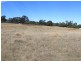 Lot 358 Torrington Rd, Stannum NSW 2371
