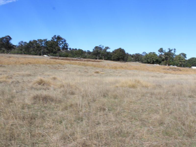 Lot 358 Torrington Rd, Stannum NSW 2371