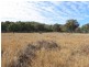 Lot 358 Torrington Rd, Stannum NSW 2371