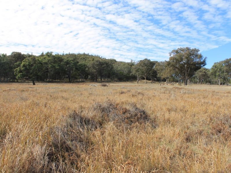 Lot 358 Torrington Rd, Stannum NSW 2371