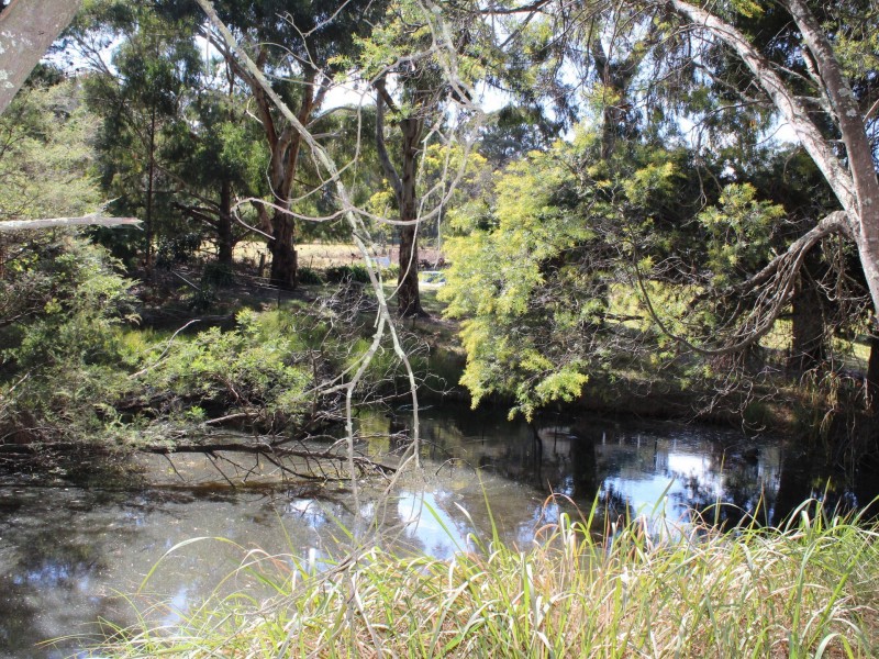 23 Silent Grove Road, Torrington NSW 2371