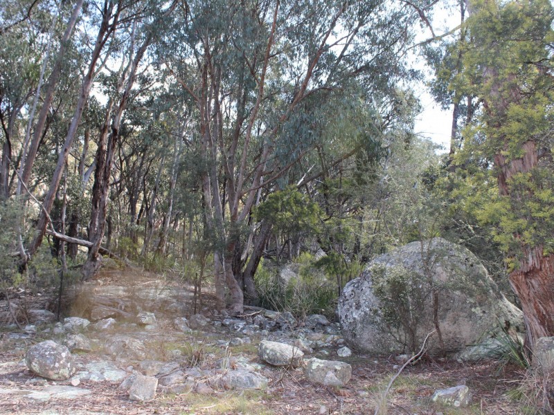 23 Silent Grove Road, Torrington NSW 2371