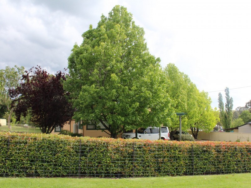 259 Meade Street, Glen Innes NSW 2370