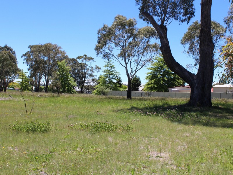 67 Abbott Street, Glen Innes NSW 2370