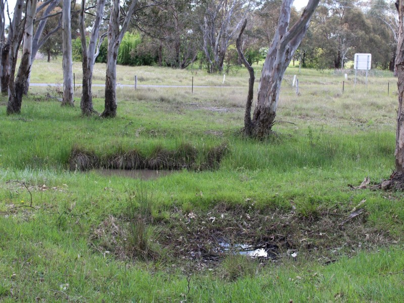 Cnr Blacks & Rogers Road Lot 606, Glen Innes NSW 2370