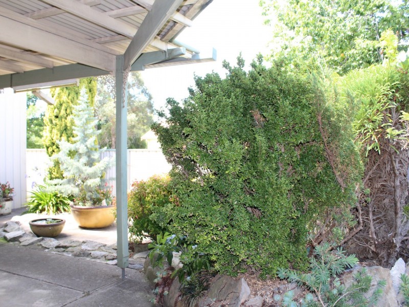 54 Tenterfield Street, DEEPWATER, Glen Innes NSW 2370