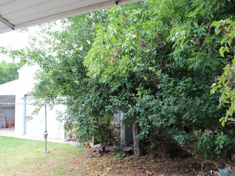 97 Bourke Street, Glen Innes NSW 2370