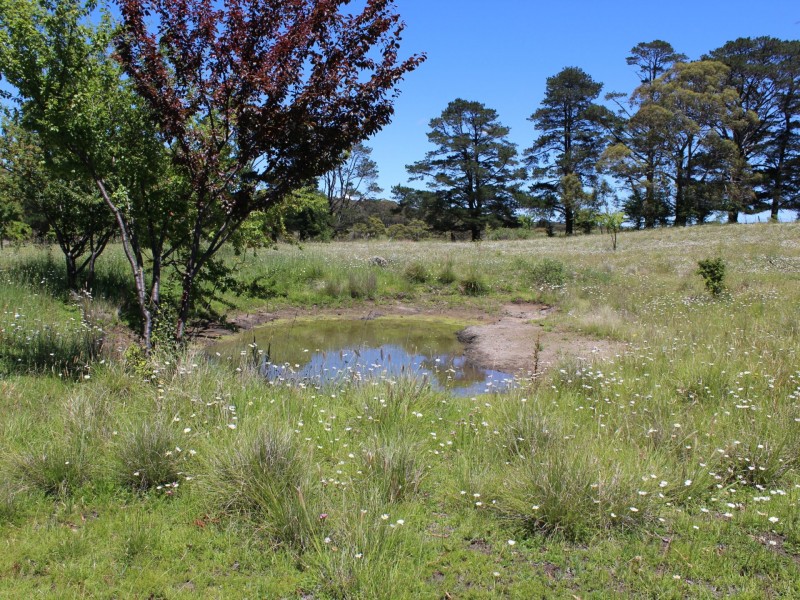 182-186 Government Lane, Glen Innes NSW 2370